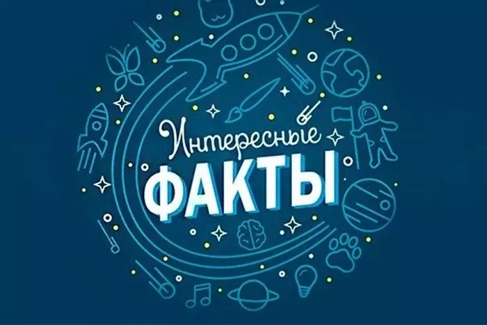 Интересные факты со всего мира! Как тебе такое, Фактрум? - Факты, Невероятно, Юмор, Интересное, Длиннопост