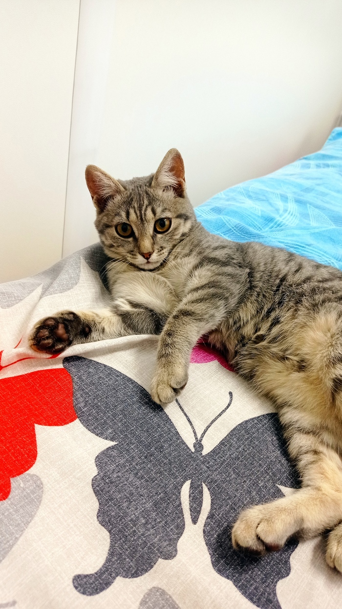 ������� �������)