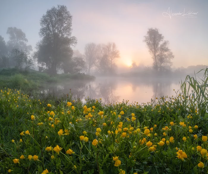 Good morning...! - My, The photo, Summer, River, Morning, beauty of nature, The nature of Russia, Fog, dawn, Landscape, Ugra River