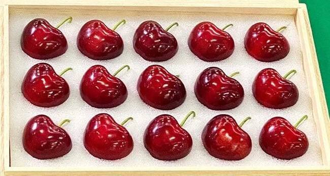 If pitted - I take - Japan, Cherries, Expensive, Longpost