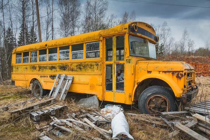 Abandoned American school bus - My, Abandoned, Bus, All ashes, Longpost