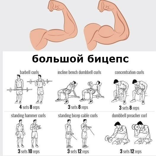 Упражнения для нижней части тела