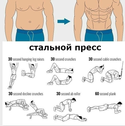 Упражнения на все группы мышц в картинках