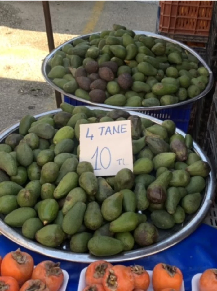 Avocado in Turkey (Gazipasha) - My, Turkey, Avocado, Gazipasa, Фрукты, Longpost