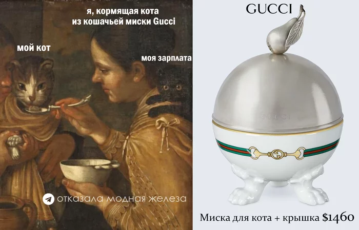 Gucci releases $1,460 cat bowl with lid - My, Fashion, Fashion what are you doing, Suite, Luxury, cat, Suffering middle ages, Picture with text