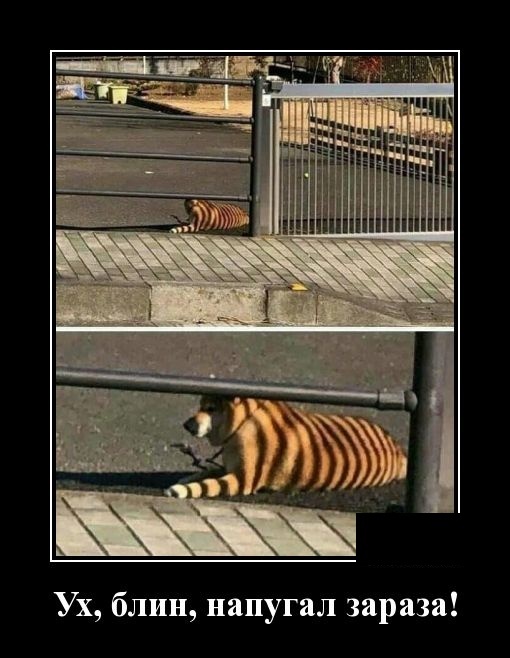 �� �������� ���