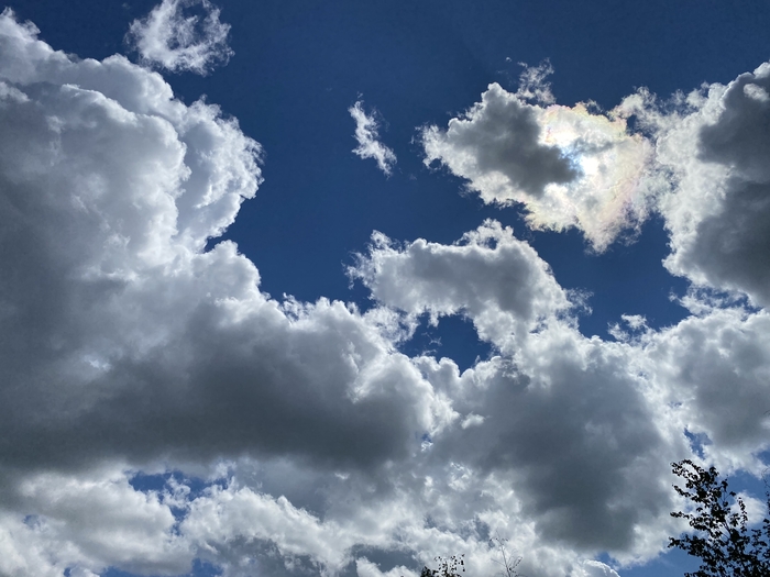 ����� ������