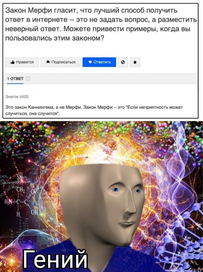 ���� �����������