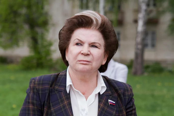 Resetting the manul counter - My, Valentina Tereshkova, Zeroing, Pallas' cat, Counter, Pet the cat