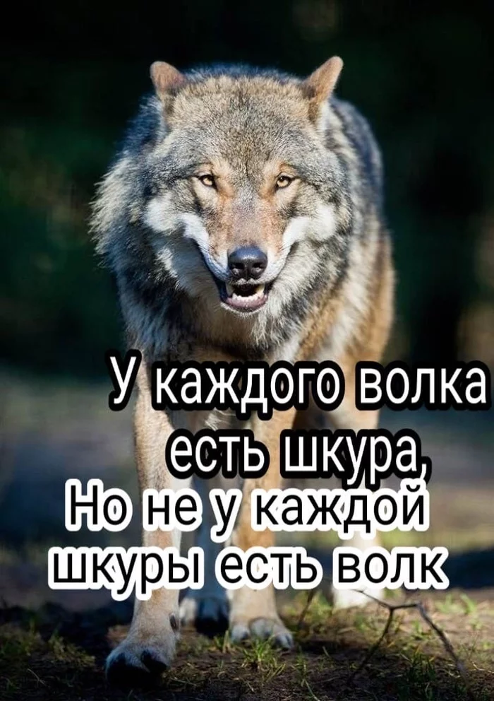 Quote of the Day - Vital, Quotes, Boy quotes, Смысл жизни