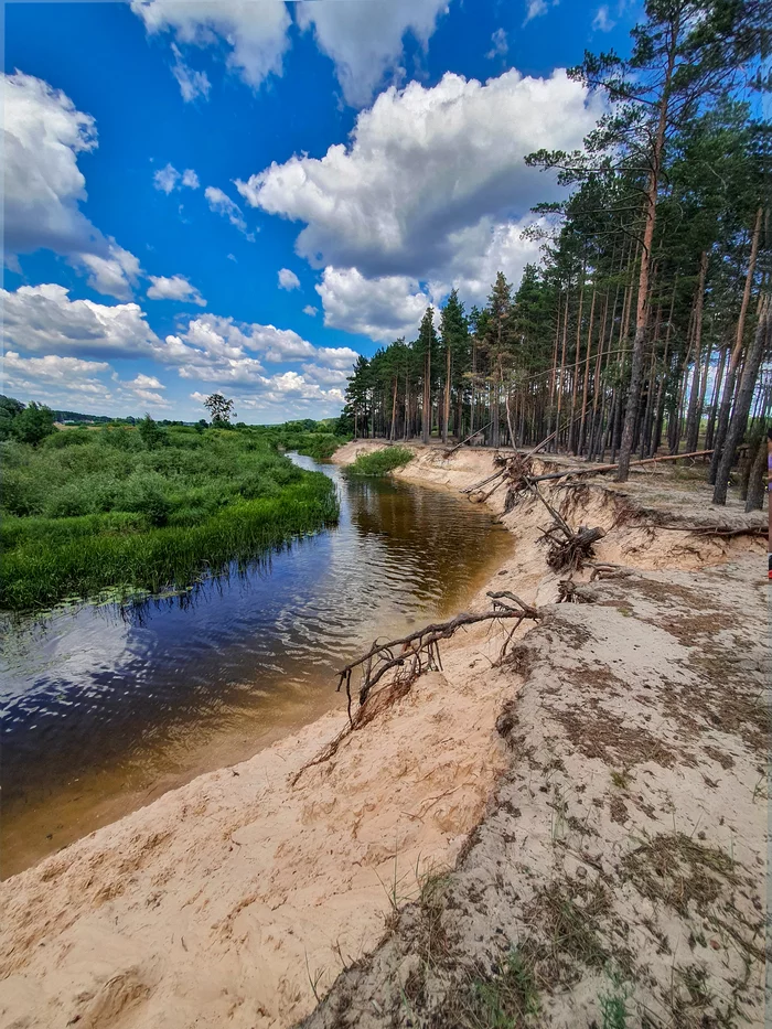 Usmanka river - My, Nature, The photo, Landscape, River, Voronezh, Voronezh region, Good weather, Summer, Longpost