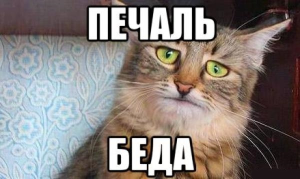 Калиниградцы, подскажите...