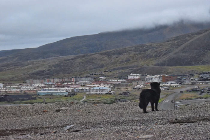 The main danger of the dead city - My, Туристы, Travels, Tourism, Travel across Russia, Chukotka, Ghost town, , North, Longpost, The photo