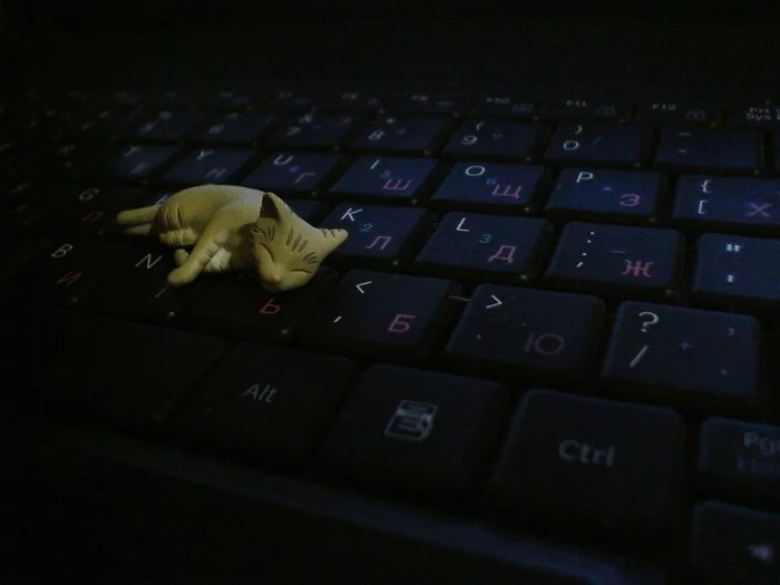 The working day is over - My, Keyboard, cat