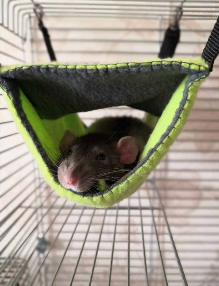 Дневной сон