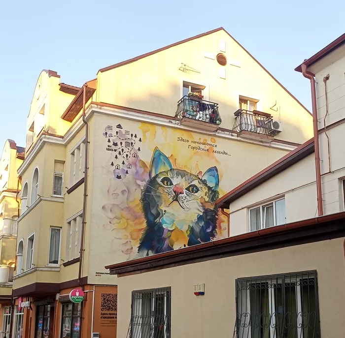 Zelenogradsk cats - My, Street art, Zelenogradsk, Longpost, Kaliningrad region, cat