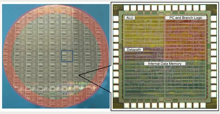 The first high-performance plastic processor costing 1 cent - CPU, Price, Microprocessor, Computer, Smartphone, Server, Informative, Internet, Development of, Longpost, Research