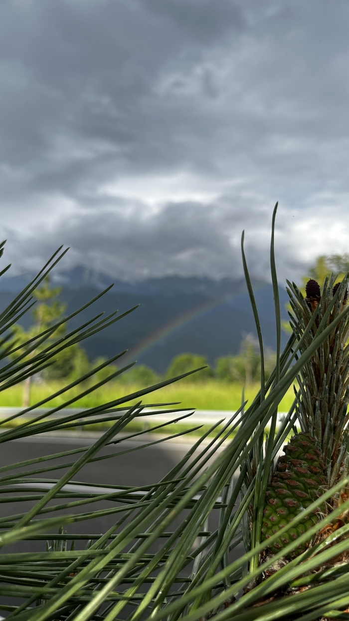 Горы, радуга и шишка