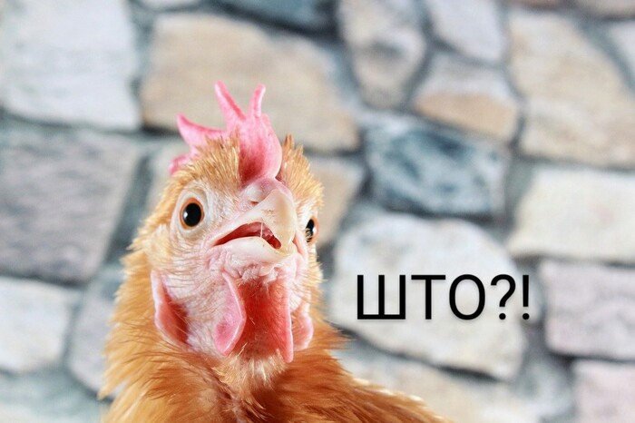 Ответ на пост «Вот и новое поколение;(»