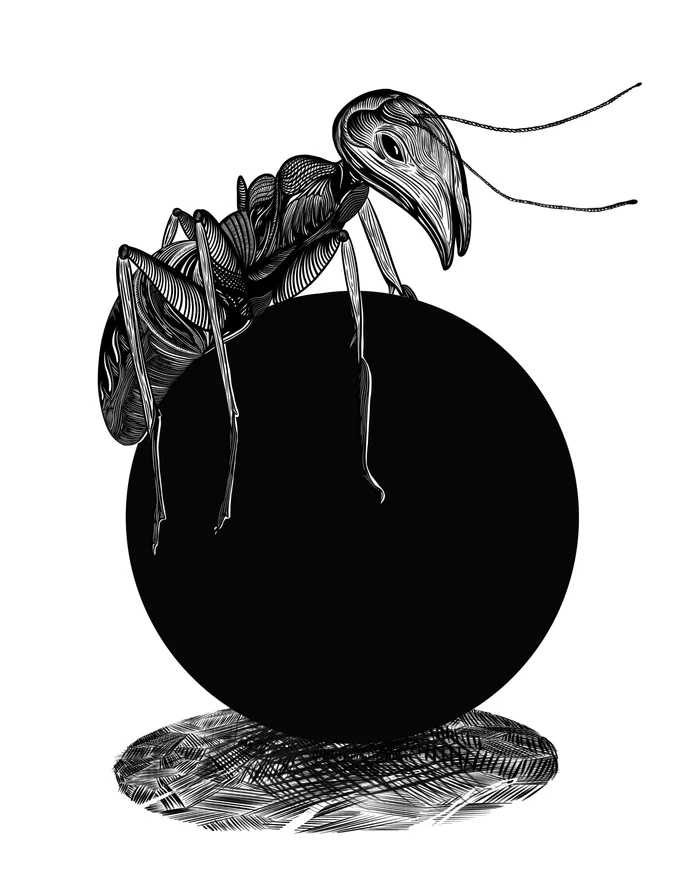 Ants - My, Digital drawing, Drawing, Black and white, Art, Illustrations, Liner