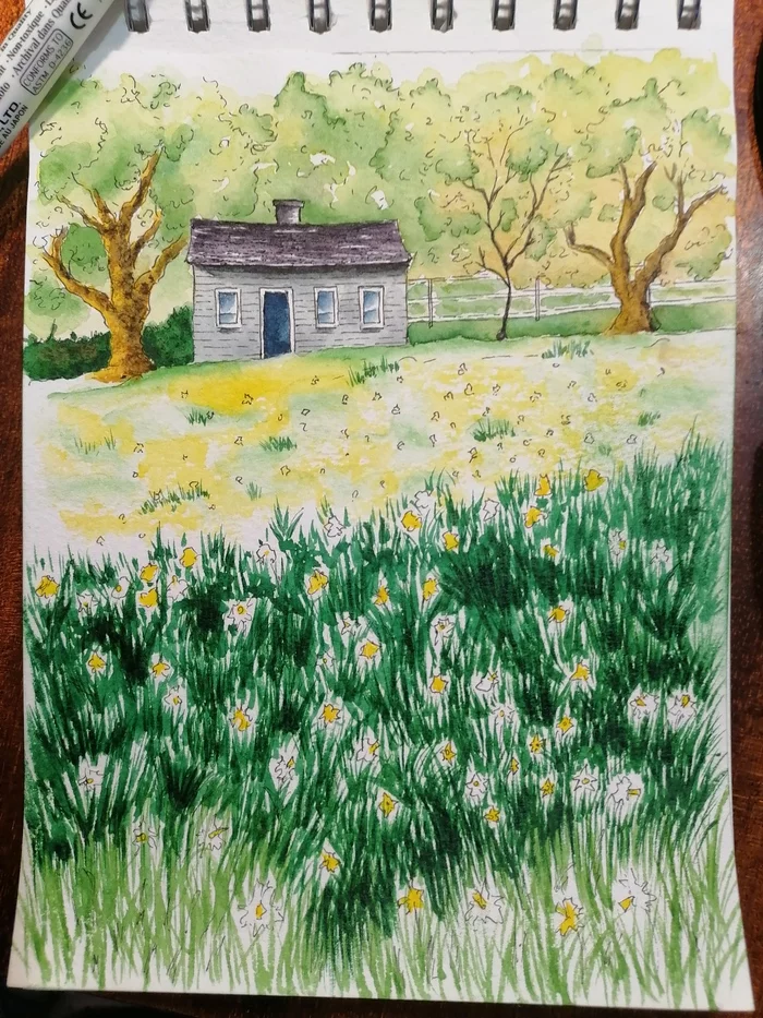Spring - My, Drawing, Sketch, Sketchbook, Spring, Meadow, Nature, House, Green trees, Grass, Flowers