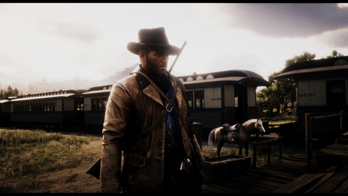 RDR 2.   Red Dead Redemption 2, Rdr  PC, , Rockstar, 