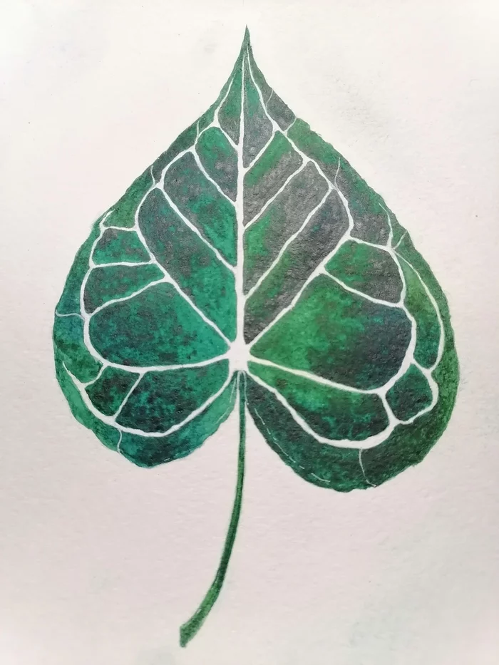 leaf - My, Drawing, Sketchbook, Sketch, Beginner artist, Green, Leaves, Watercolor, Longpost