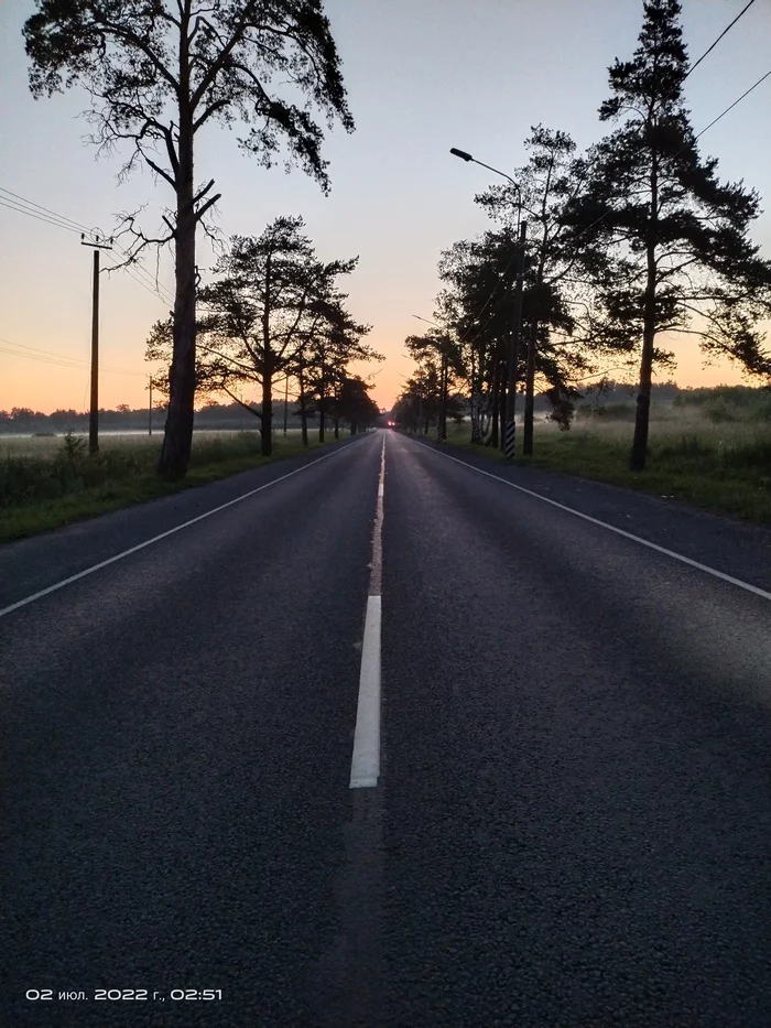 Just a photo - My, Mobile photography, Night, Road, Tree