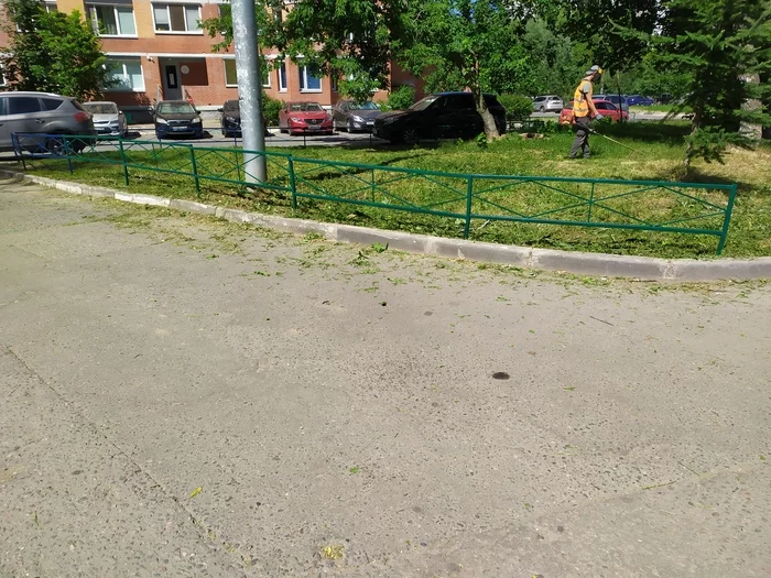 Continuation of the post When even nature indicates - My, Parking, Неправильная парковка, Lawn, Reply to post