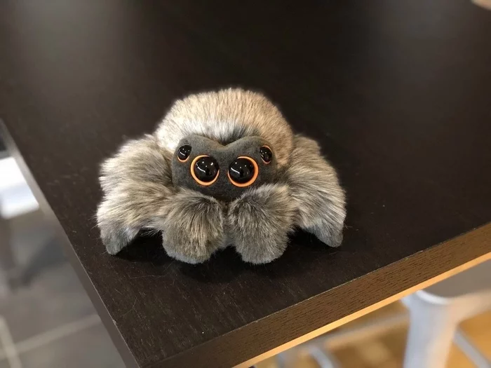 Want - Toys, Soft toy, Spider, Want, Coolness