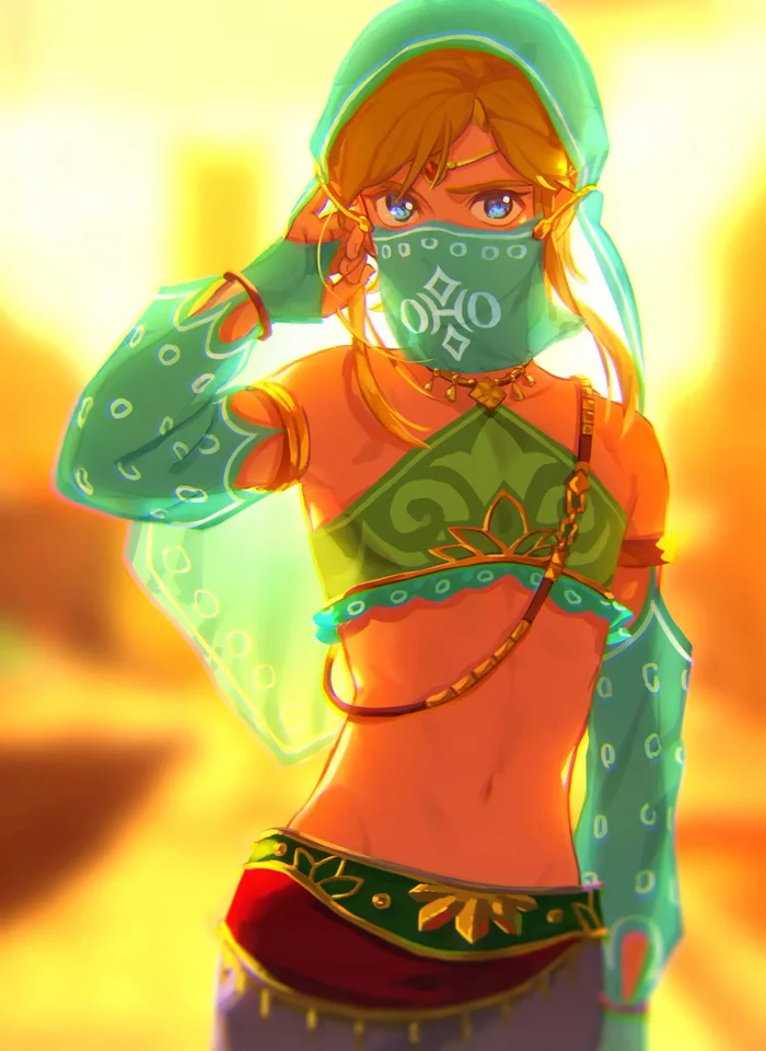 Link - Link, The Legend of Zelda, Its a trap!, Gerudo Link, Длиннопост