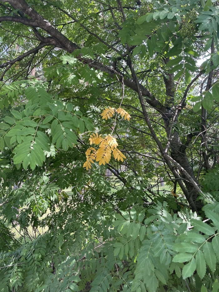 Когда оделся не по сезону