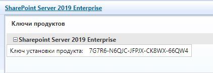 Key for SharePoint Server 2019 Enterprise (license) - My, Microsoft, License