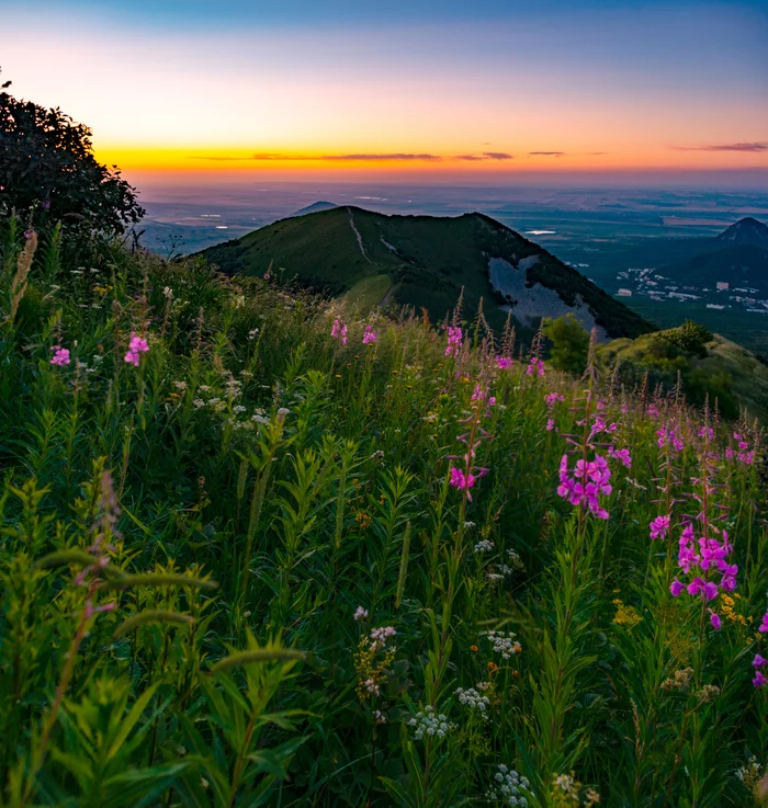 Evening Ivan-Tea - My, Landscape, Nature, The photo, Beshtau, Caucasian Mineral Waters, Evening, Blooming Sally