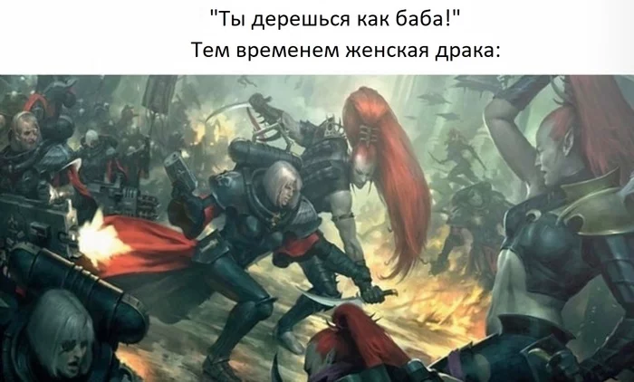 Обычное явление - Warhammer 40k, Wh Humor, Драка, Adepta Sororitas, Тёмные эльдар