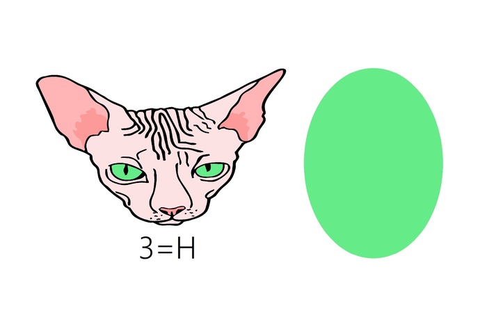 Ребус от Романа для тренировки мозга и расширения кругозора. Тема: шахматы. Пост № 481. Ответ пишите в комментариях. Погнали!