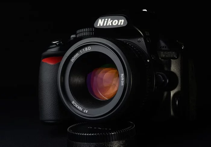 Nikkor 50mm 1:1.8D Bright, sharp, fast - My, The photo, Nikon, Nikkor 50mm 18D, Nikon d7000, Nature, Portrait, Lens, Longpost