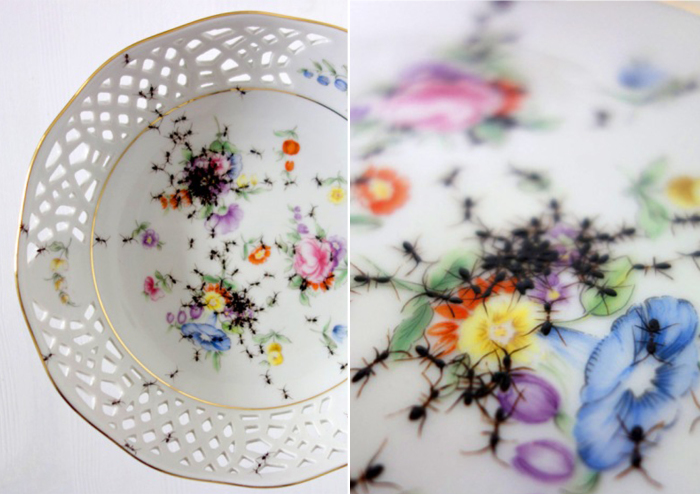 Dishes with ants - Ants, Phobia, Tableware, Porcelain, Insects, Longpost