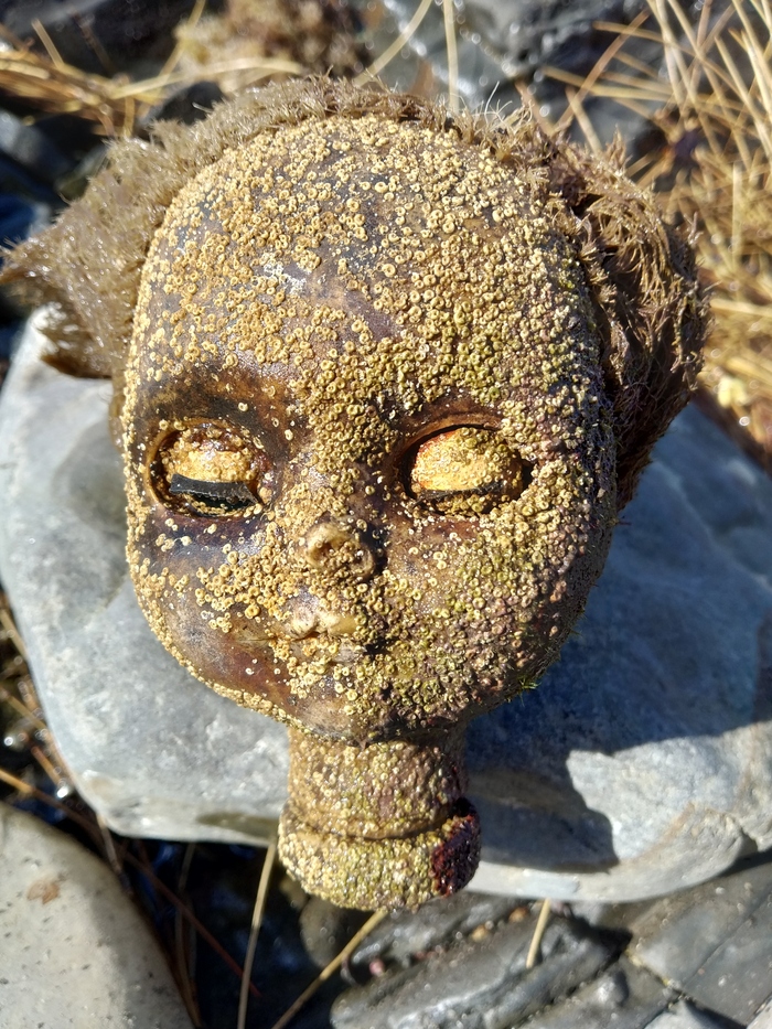 Ответ на пост «Крипота какая»