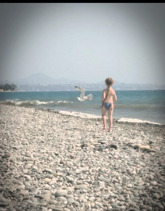 ����. �����. ����