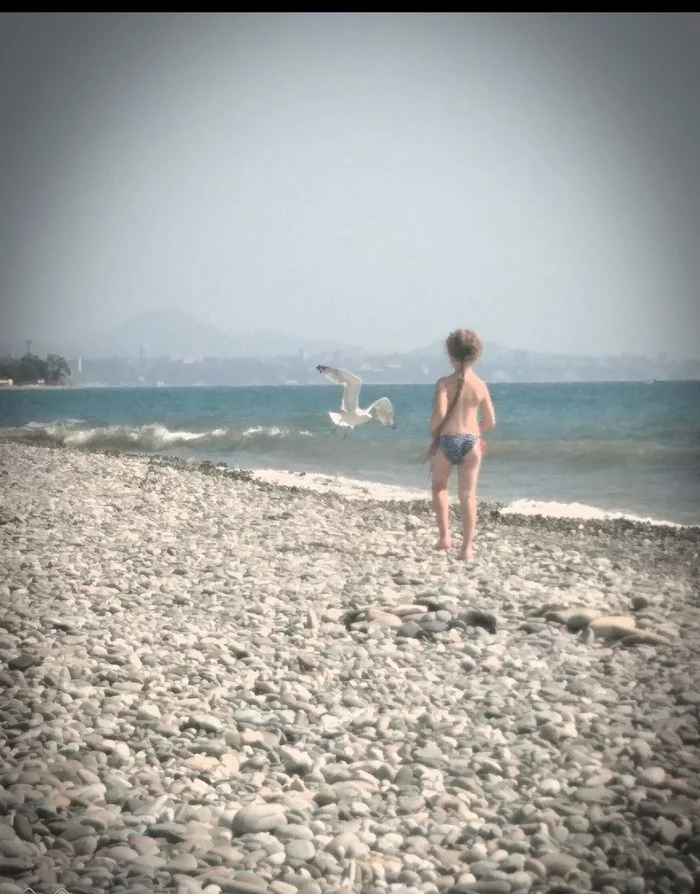 Sea. Gull. Daughter - My, Black Sea, Daughter, Seagulls