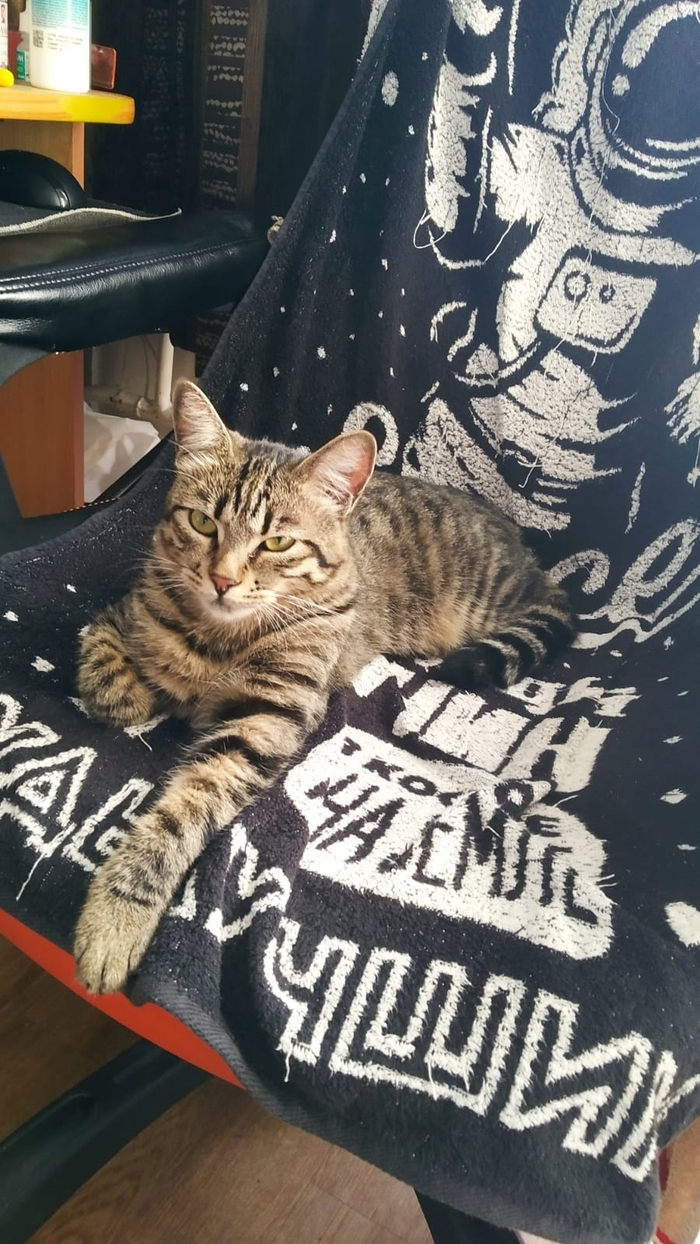 ������� ����, ������ ����������... ( �� ��� �� �����)