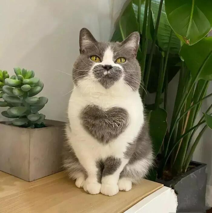 ��������� ���