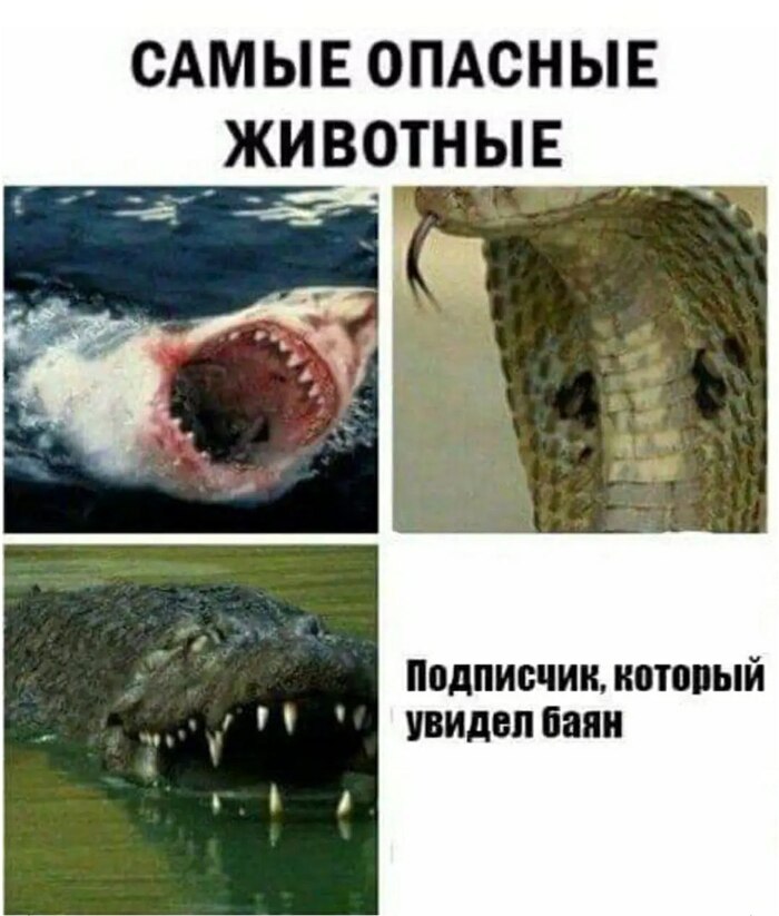    ? , ,   