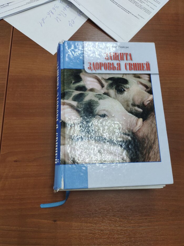 ����� �����