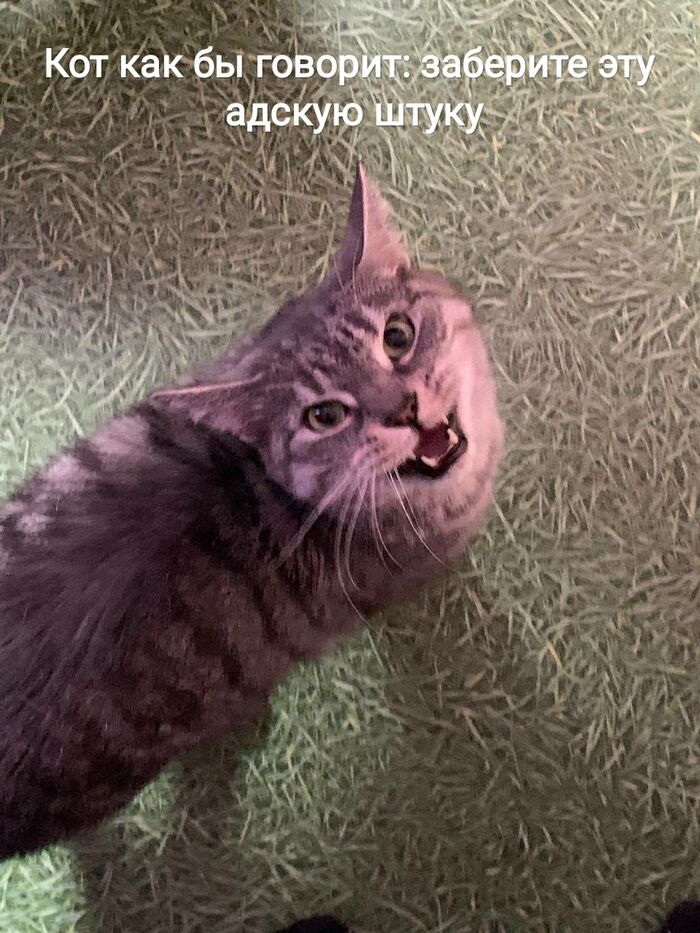      ,  , , , , 
