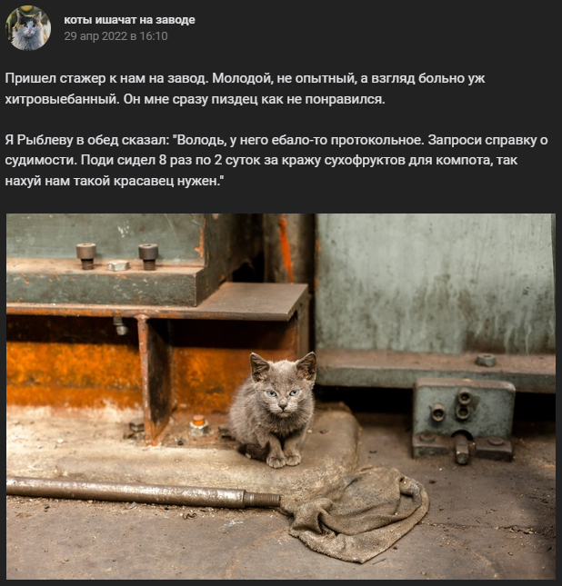     5 , , , , , , 