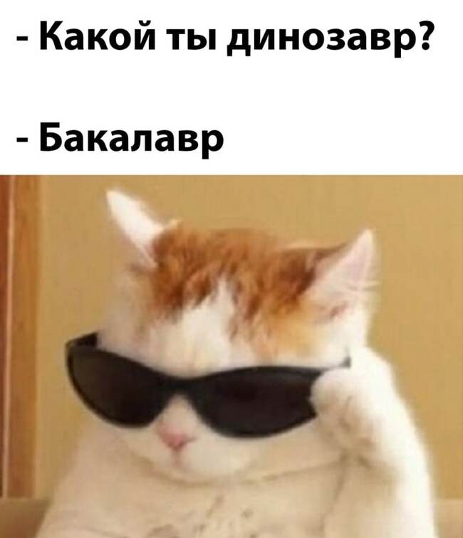    ,   , , , , 