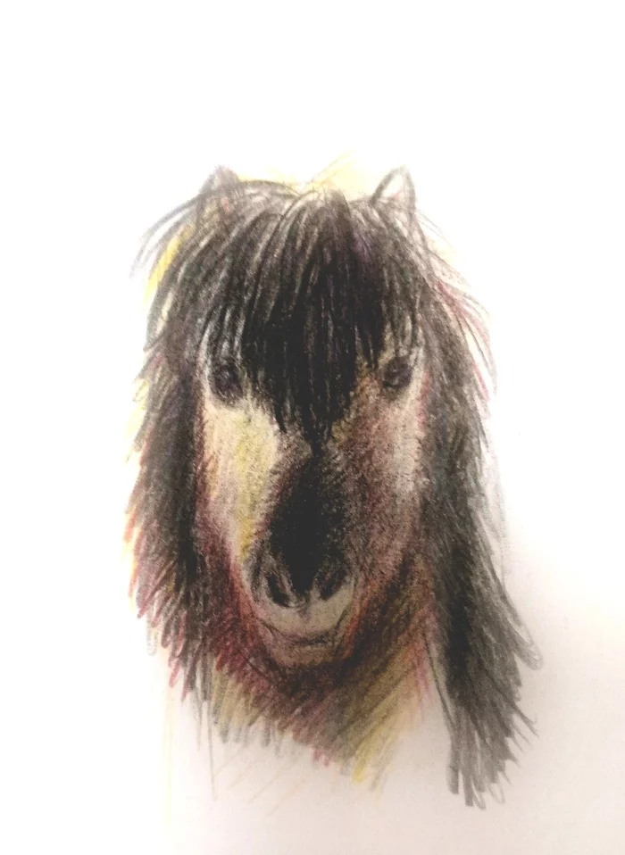 pony time - My, Drawing, Illustrations, Colour pencils, Pony, Longpost