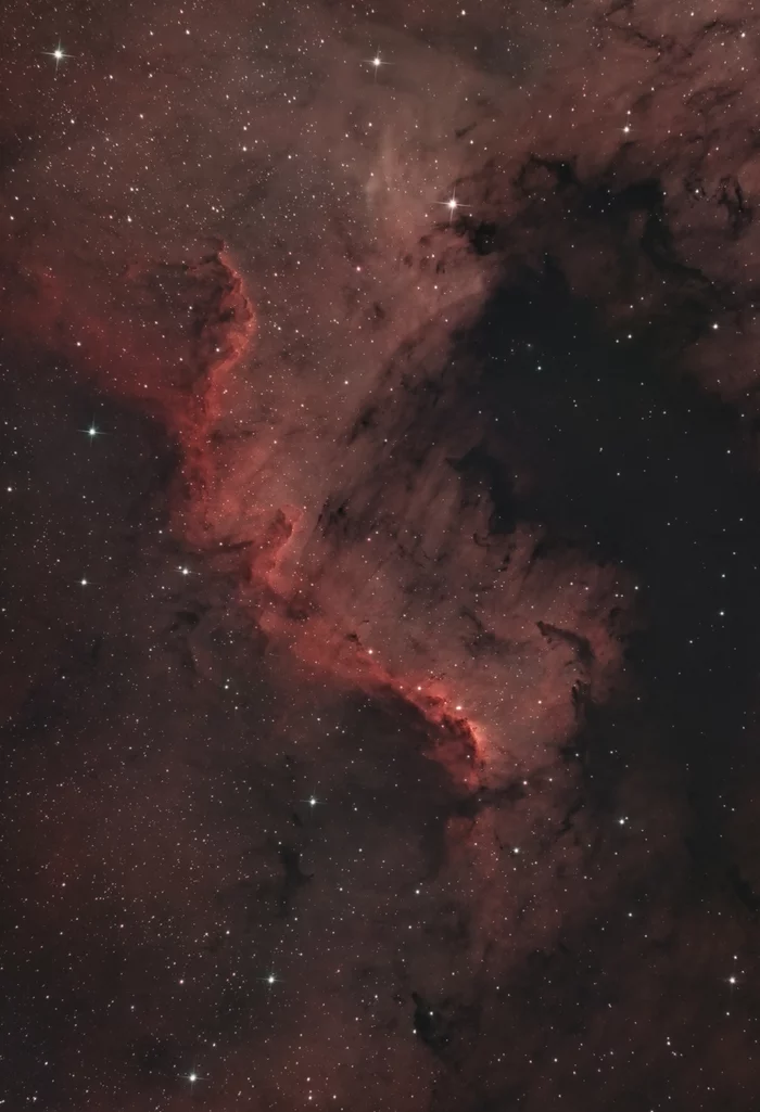 Fragment of the Nebula North America Wall (NGC 7000) in the constellation Cygnus - My, Astrophoto, Astronomy, Milky Way, Stars, Constellation Cygnus, Nebula, Longpost